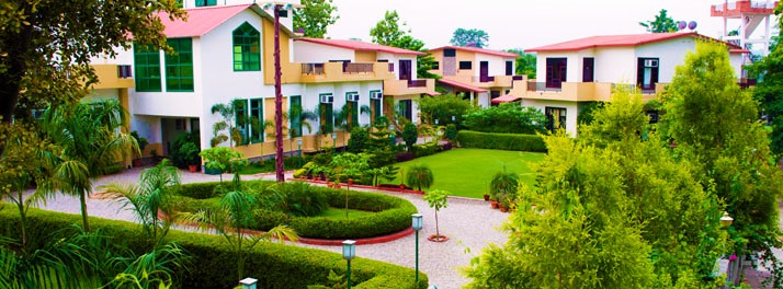 1457/The Tiger Groove - Jim Corbett National Park 02.jpg